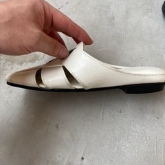 スリッパ　LIONの画像