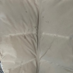 UNIQLO  ダウンの画像
