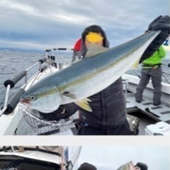 寒鰤上がってます！オフショア釣り仲間募集。 - 長岡京市