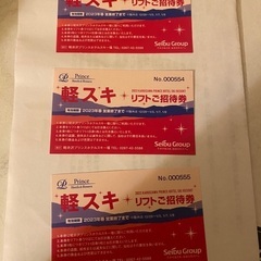 軽井沢プリンスホテルスキー場リフト券