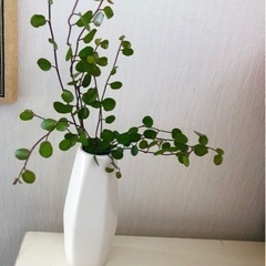 ワイヤープランツ付ホワイト花瓶♪