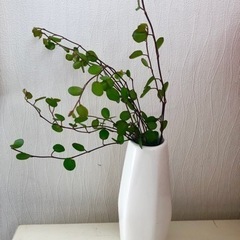 ワイヤープランツ付ホワイト花瓶♪の画像