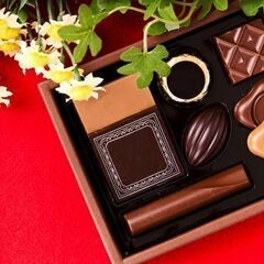 2/4(土) お菓子の試食販売スタッフ