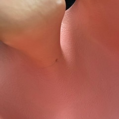 〜お話中〜バンボの画像