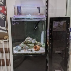 オーバーフロー水槽一式