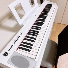 キーボード:YAMAHA piaggero NP-32