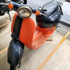 ホンダ ジョルノ お話し中