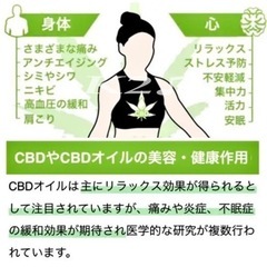 解説つき【オーガニック】ヘンプだけではない！大容量クリーム60g 1点の画像