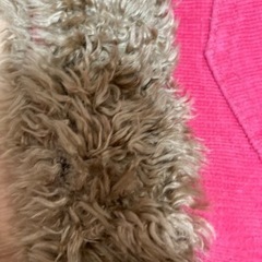 エレメント！今週土日までにはリサイクルショップ持ち込みますの画像