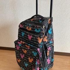ディズニーのキャリーバッグ