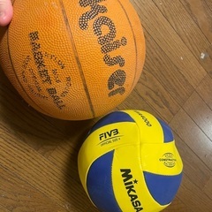 バレーボール、バスケットボール 無料