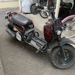 ホンダ　ズーマー