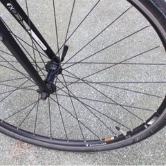 お話し中 TREK 7.4FX 700c クロスバイク きれいな車体です！の画像