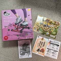 【美品】健康ステッパー　ナイスデイの画像