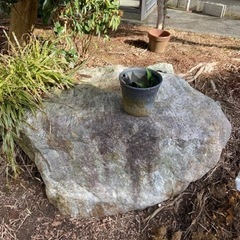 庭石