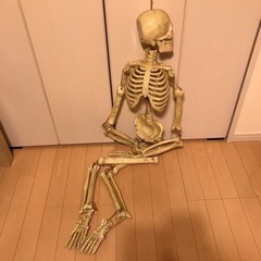 光るガイコツ飾りの画像