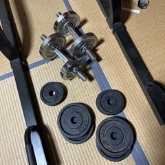 懸垂マシーン ダンベルの画像
