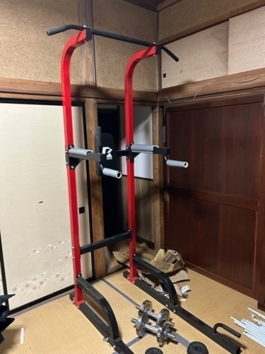 懸垂マシーン ダンベル