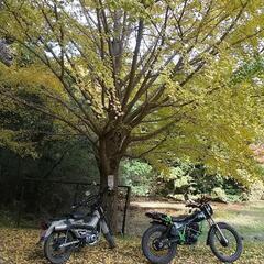 オフロードバイクで林道ツーリング!房総の古道、山道、作業道、林道探索! - 千葉市