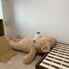 クマのぬいぐるみ　特大の画像