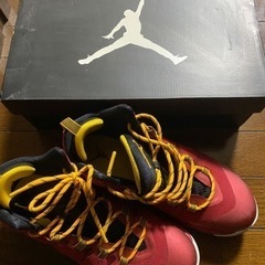ジョーダン　SUPER.FLY2