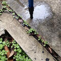 簡易型流し台(幅775㎜)の画像