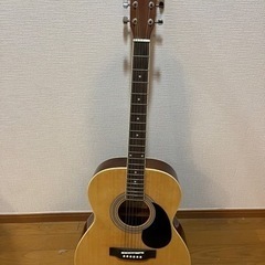 HONEY BEE ハニービー アコースティックギター フォークギタータイプの画像