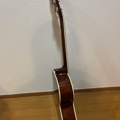 HONEY BEE ハニービー アコースティックギター フォークギタータイプの画像