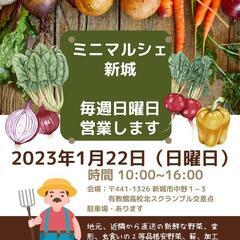 ミニマルシェ新城出店者募集中