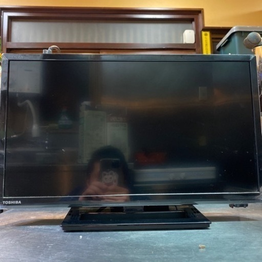 東芝　19インチ　2019年製