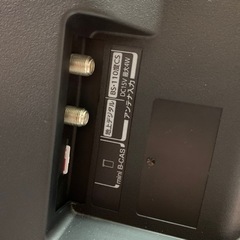 東芝　19インチ　2019年製の画像