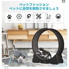 キャットホイール☆お値下げ☆の画像