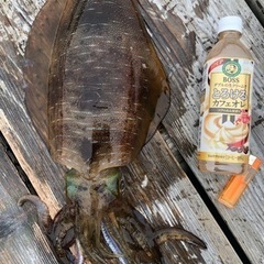 海釣り好きいますか？