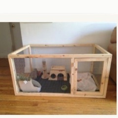 うさぎのサークル作りのお手伝い