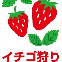 2/4(土曜)【名古屋～南知多】季節毎開催!冬は定番いちご狩り♪...