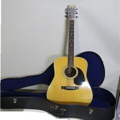 トップ：エゾ松 単板 Morales LYRE BIRD  M-...