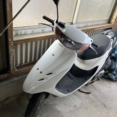 ライブDioの画像