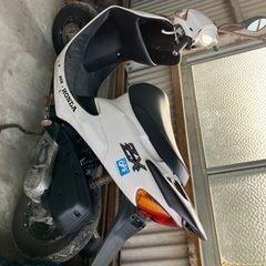 ライブDio