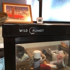 爬虫類　水槽　WILD PLANET 60x40x45cmの画像
