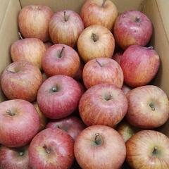 郡山方面10/22限定！わけありりんご2kg7〜8個程度入《特別栽培》の画像