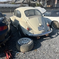 ベートル