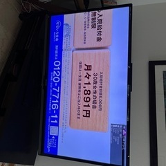 シャープ　AQUOS テレビ　60インチ