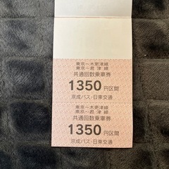 【お値下げ中】東京〜君津、木更津線　バス回数券の画像