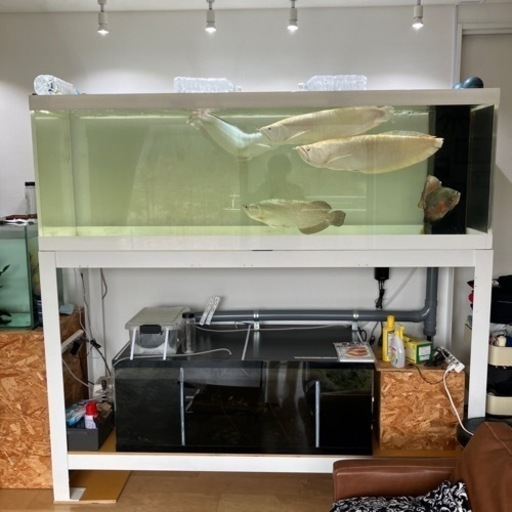 大型水槽【2m】セット販売