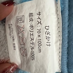 アナ雪　ひざかけ　ブランケットの画像