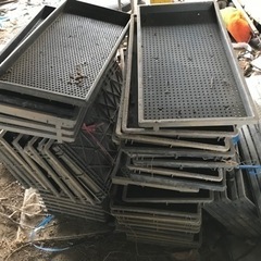 育苗箱 育苗ポット　100枚以上　差し上げますあげますの画像