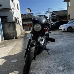 エリミネーター250se
