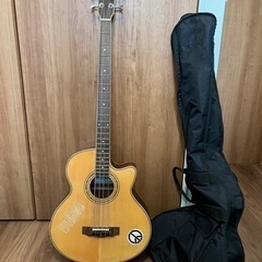 エレアコ　ベース　セピアクルー