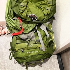 登山用品　ザック　メインザック　泊まり用　オスプレイ