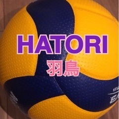 羽鳥ママさんバレーボール　メンバー募集！！